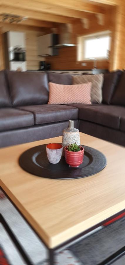 Luxe Chalets In Zeeland Aan De Kust Sint Annaland Εξωτερικό φωτογραφία